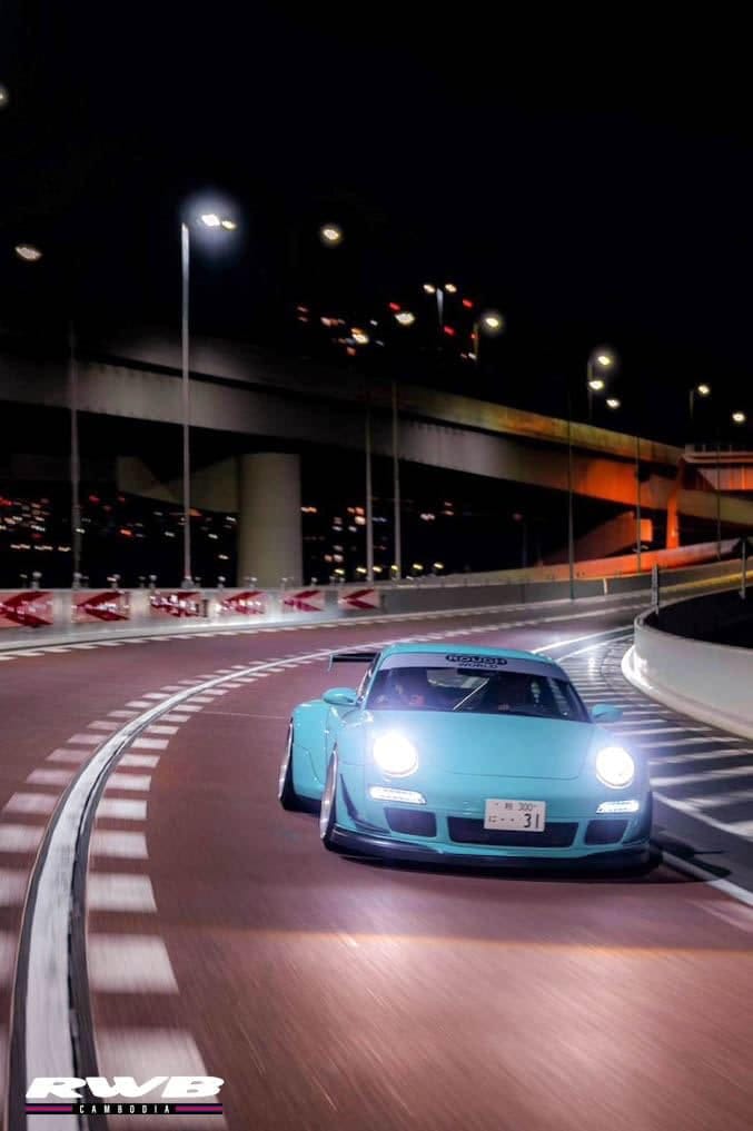 Bella on expressway ramp at night